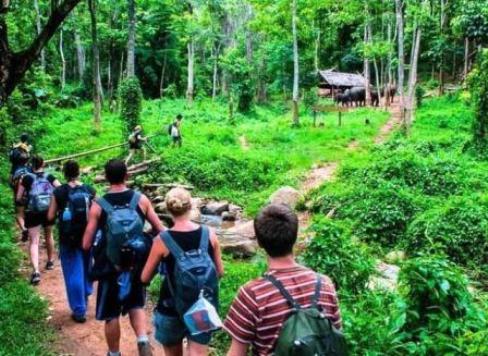 green-jungle-trekking-cambodia
